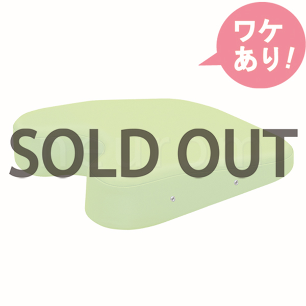 【訳あり】ケアーバスト(エアホール有り)