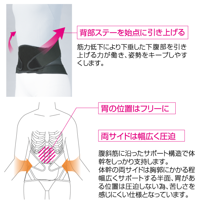背部ステーを始点に引き上げる