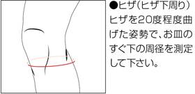 サイズ