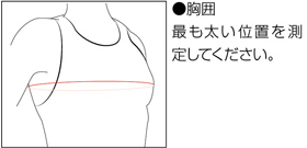 サイズ