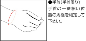 サイズ