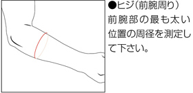 サイズ