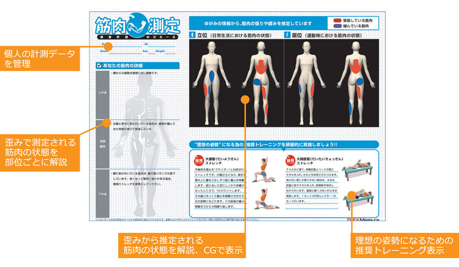 筋肉測定レポート